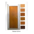 Πόρτα απλή μεταλλική ENDOOR MULTIPURPOSE μονόφυλλη